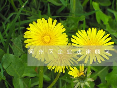 蓟州区企业法律顾问 蓟州区企业法律顾问