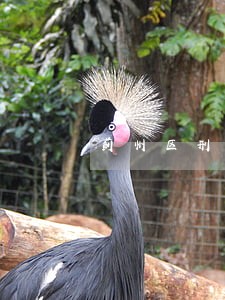 蓟州区刑事大案律师法律咨询