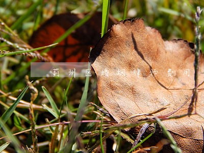 蓟州区婚姻律师费用 蓟州区婚姻律师费用