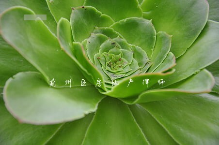 蓟州区房地产律师 蓟州区房地产律师