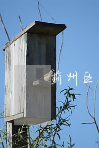 蓟州区法律咨询网 蓟州区法律咨询网