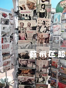 蓟州区超车车祸事故诉讼材料 蓟州区超车车祸事故诉讼材料