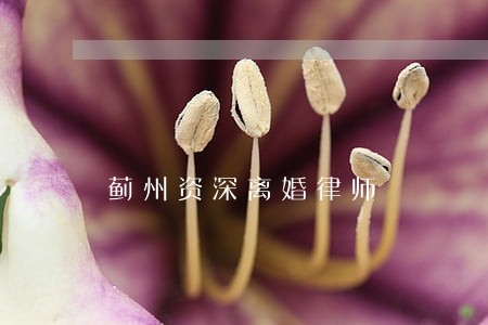 蓟州资深离婚律师