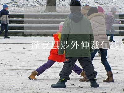 蓬安县涉外仲裁在线律师 蓬安县涉外仲裁在线律师