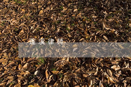 蓬溪律师 蓬溪律师