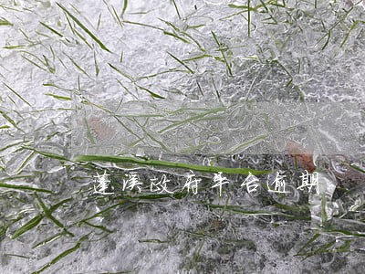 蓬溪政府平台逾期 蓬溪政府平台逾期