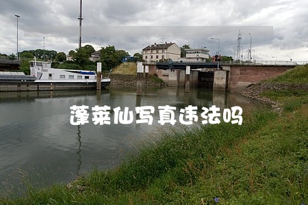 蓬莱仙写真违法吗 蓬莱仙写真违法吗