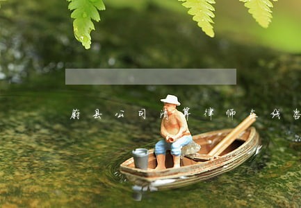 蔚县公司清算律师在线咨询 蔚县公司清算律师在线咨询
