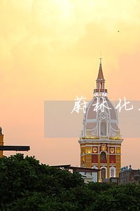 蔚林化工郭同新违法