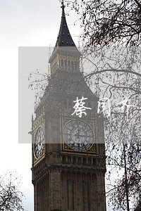 蔡同齐律师解答了你好