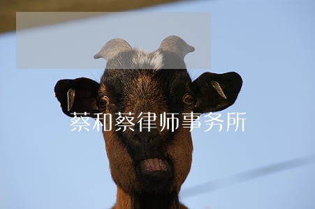蔡和蔡律师事务所