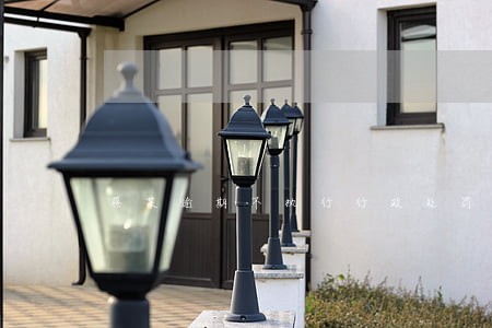 蔡某逾期不执行行政处罚决定 蔡某逾期不执行行政处罚决定