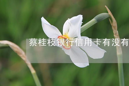 蔡桂枝银行信用卡有没有逾期 蔡桂枝银行信用卡有没有逾期
