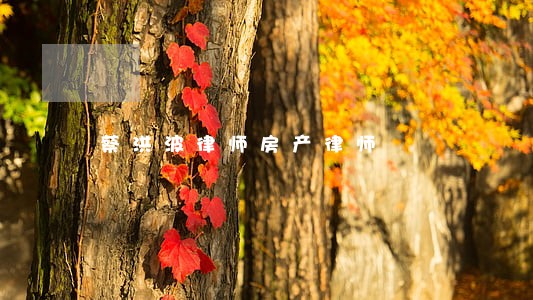 蔡洪波律师房产律师 蔡洪波律师房产律师