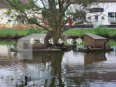 蔡甸债务律师 蔡甸债务律师