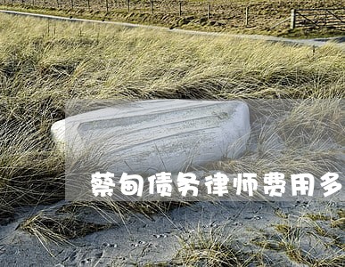 蔡甸债务律师费用多少钱 蔡甸债务律师费用多少钱