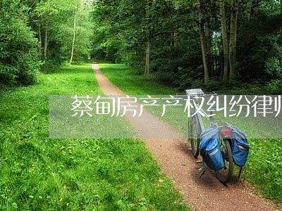 蔡甸房产产权纠纷律师事务所 蔡甸房产产权纠纷律师事务所