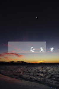 蔻翼律师 蔻翼律师