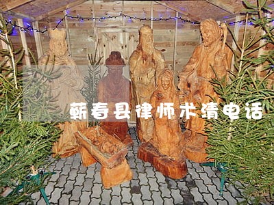 蕲春县律师术清电话