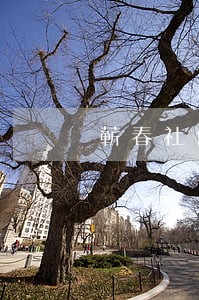 蕲春社保逾期怎么补缴 蕲春社保逾期怎么补缴