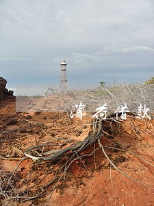 薄荷借款逾期严重后果 薄荷借款逾期严重后果