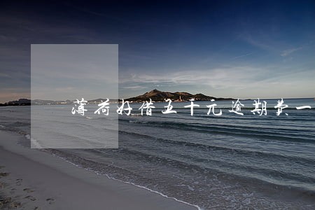 薄荷好借五千元逾期费一万 薄荷好借五千元逾期费一万