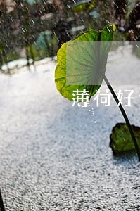 薄荷好借逾期一个月没有联系 薄荷好借逾期一个月没有联系