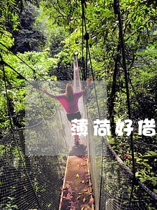 薄荷好借逾期会给家人带电话吗 薄荷好借逾期会给家人带电话吗