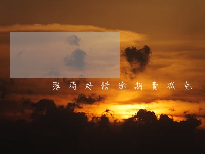 薄荷好借逾期费减免 薄荷好借逾期费减免