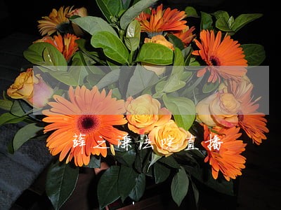 薛之谦法院直播