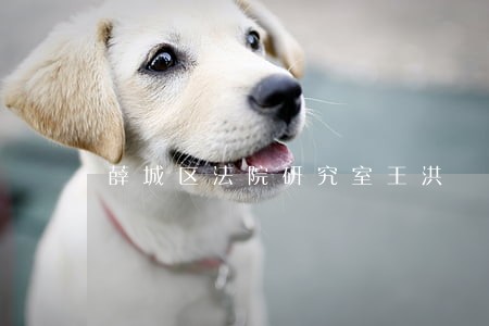 薛城区法院研究室王洪 薛城区法院研究室王洪