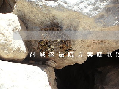 薛城区法院立案庭电话 薛城区法院立案庭电话