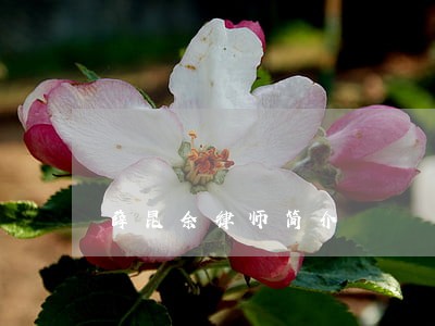 薛昆余律师简介 薛昆余律师简介