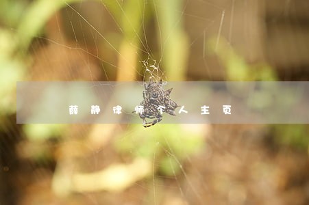 薛静律师个人主页 薛静律师个人主页
