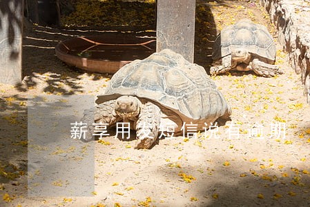 薪享用发短信说有逾期 薪享用发短信说有逾期