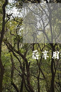 薪享用逾期一天爆通讯录 薪享用逾期一天爆通讯录
