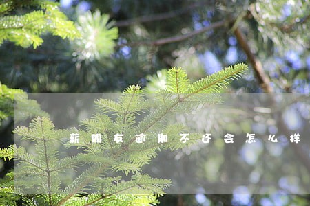 薪朋友逾期不还会怎么样 薪朋友逾期不还会怎么样