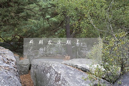 薪朋友逾期了 薪朋友逾期了