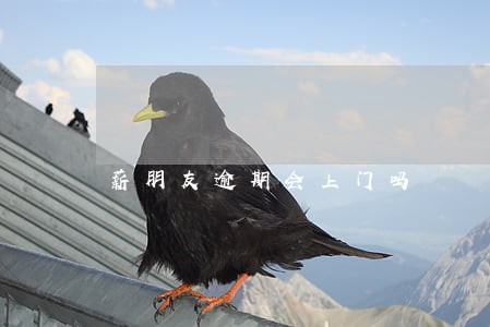 薪朋友逾期会上门吗 薪朋友逾期会上门吗