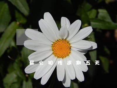 薪火相传逾期五天 薪火相传逾期五天