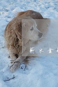 薪米金融逾期 薪米金融逾期