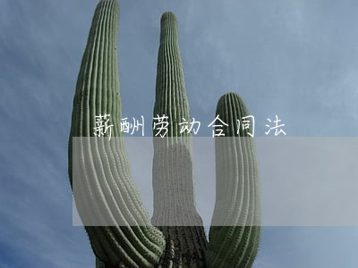 薪酬劳动合同法 薪酬劳动合同法