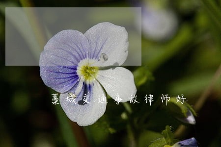 藁城交通事故律师好 藁城交通事故律师好