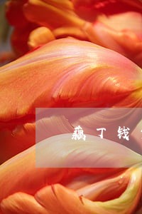 藕丁钱包逾期会怎么样 藕丁钱包逾期会怎么样