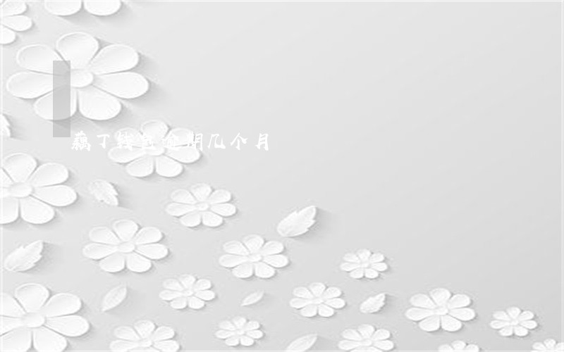 藕丁钱包逾期几个月