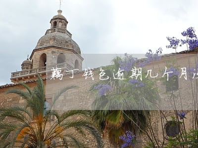 藕丁钱包逾期几个月没还会怎么样