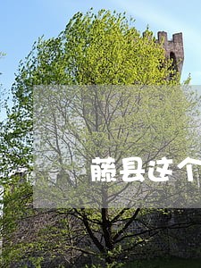 藤县这个司法所厉害了 藤县这个司法所厉害了