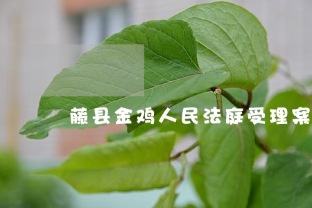 藤县金鸡人民法庭受理案件 藤县金鸡人民法庭受理案件