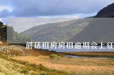 蘑菇租房房租逾期会上征信吗