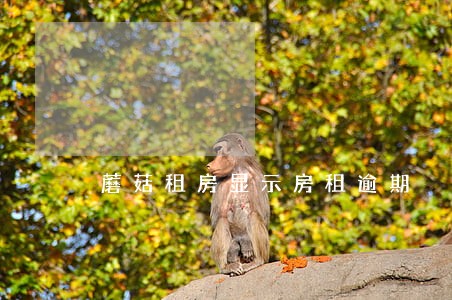 蘑菇租房显示房租逾期